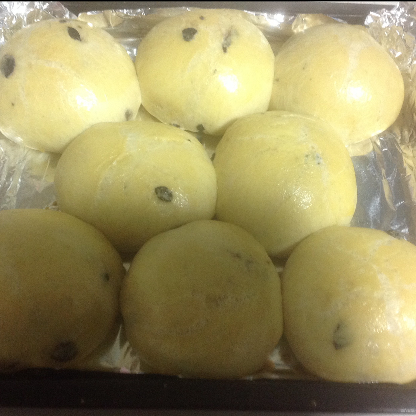 鲜奶油小餐包（一次发酵）