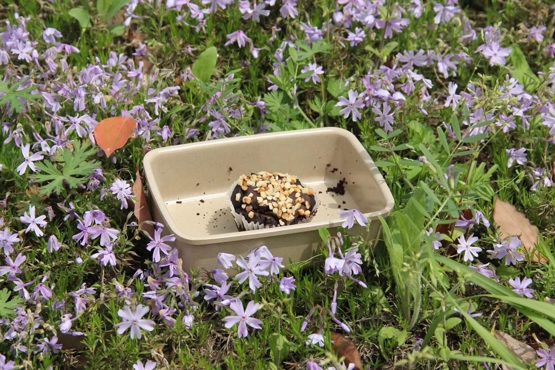 Vegan鳄梨可可杯子诞糕（低脂低糖）