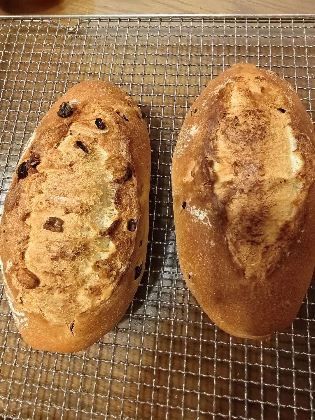 店售爆单🔥三天不变硬㊙️坚果全麦面包