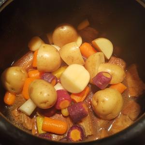 五彩胡萝卜炖红烧肉片的做法 步骤7