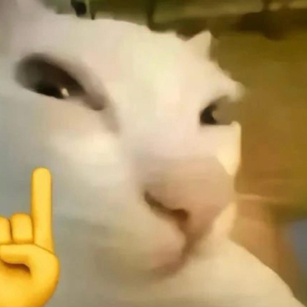 偶尔做菜的崽崽