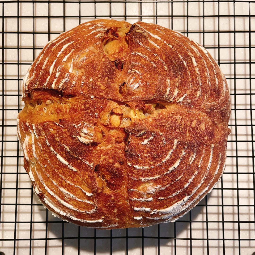 好吃到飞起-天然酵母姜黄肉桂提子双色欧包（手揉法-超详细）