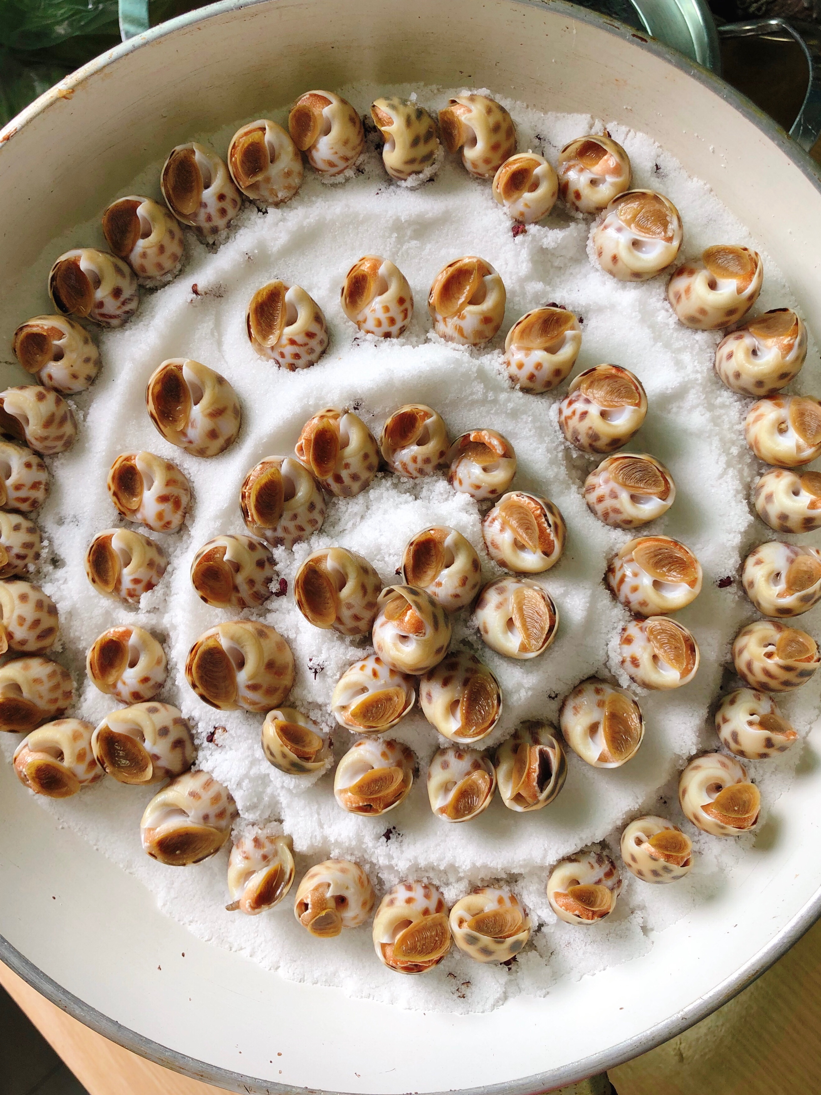 偷懒菜！改良版盐焗旺螺 ♥️盐焗花螺♥️盐焗螺子 又快又特色的家宴菜！的做法
