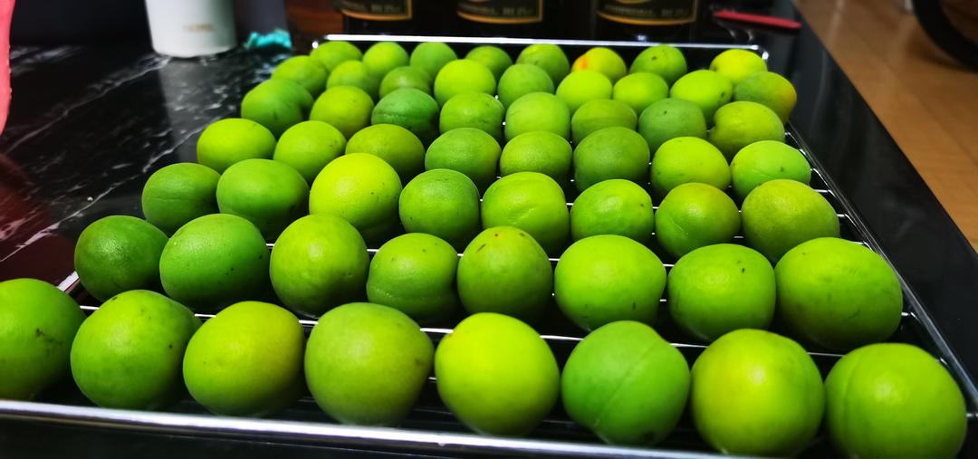 【青梅酒】梅子的沉醉时光（已填坑）