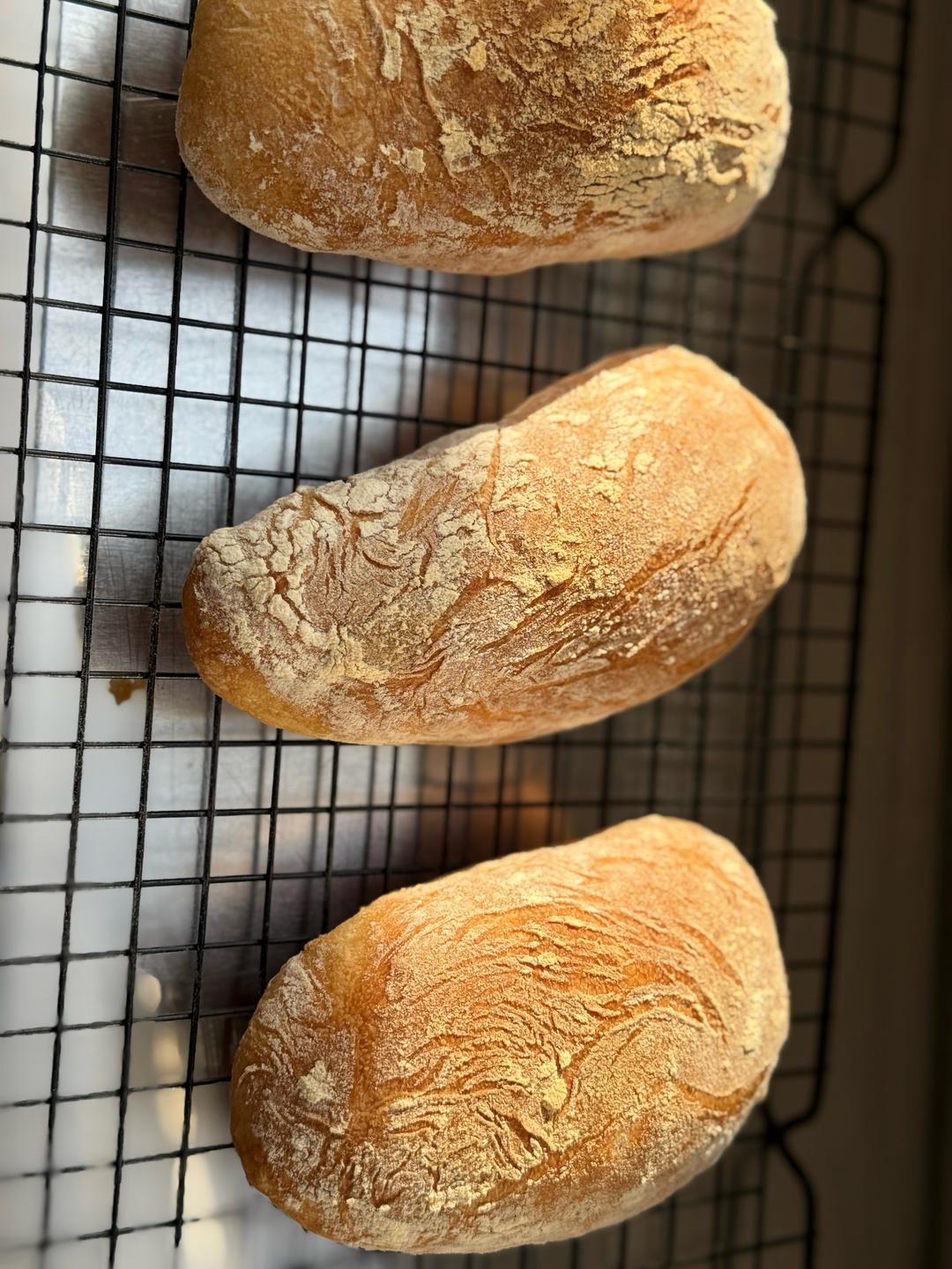 恰巴塔面包  Ciabatta