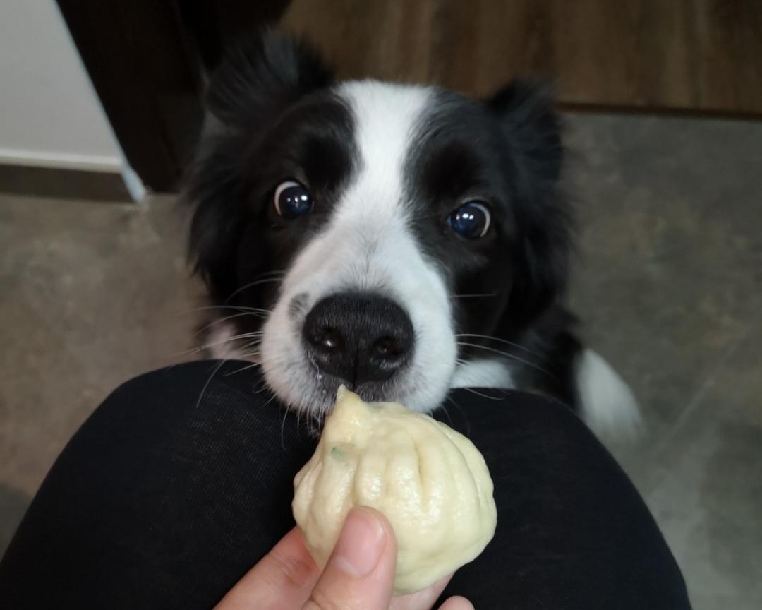 王扁扁的狗饭——狗不理包子的做法