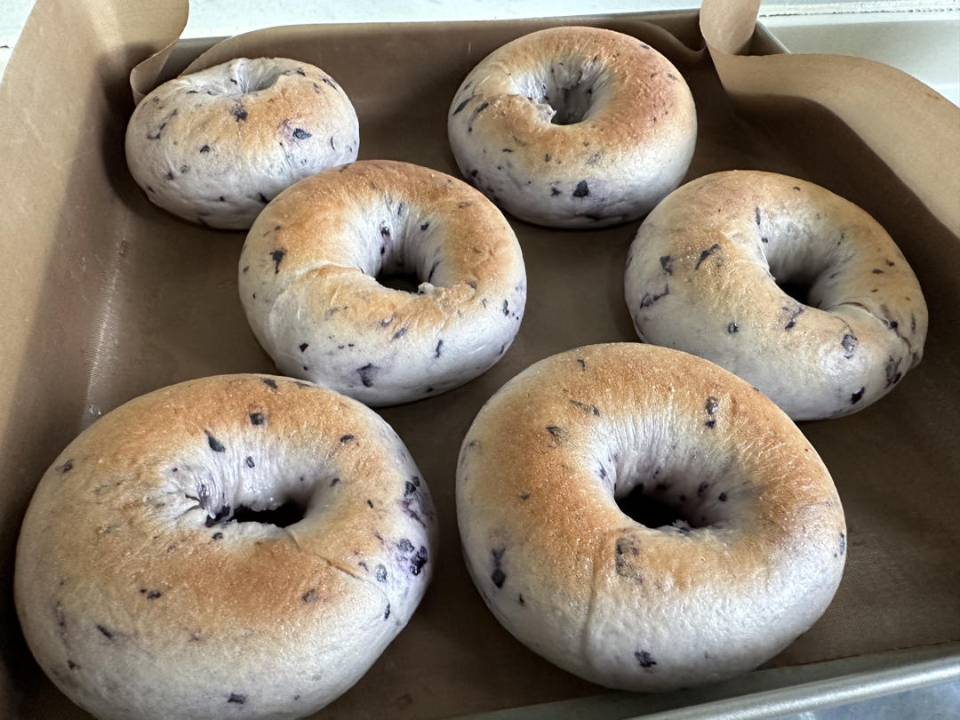 蓝莓🫐乳酪贝果🥯/步骤详细/简单好做