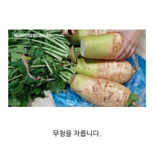 韩式腌萝卜的做法 步骤1