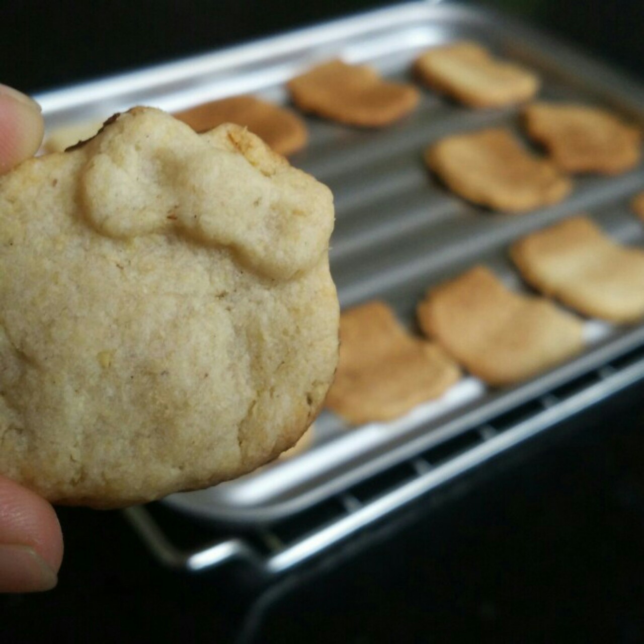 豆渣饼干