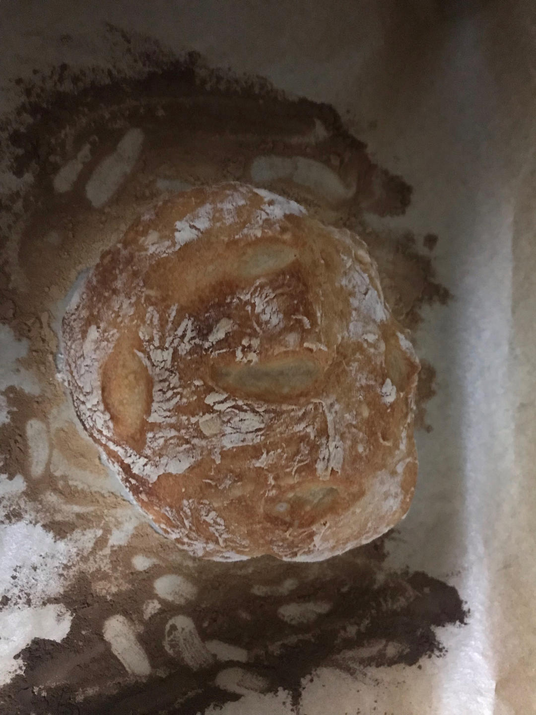 最简单的欧包发面法·只需5分钟搅一搅❗️真不揉面