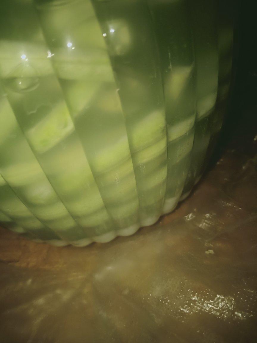 自制酸豆角（史上最简单三天完成）