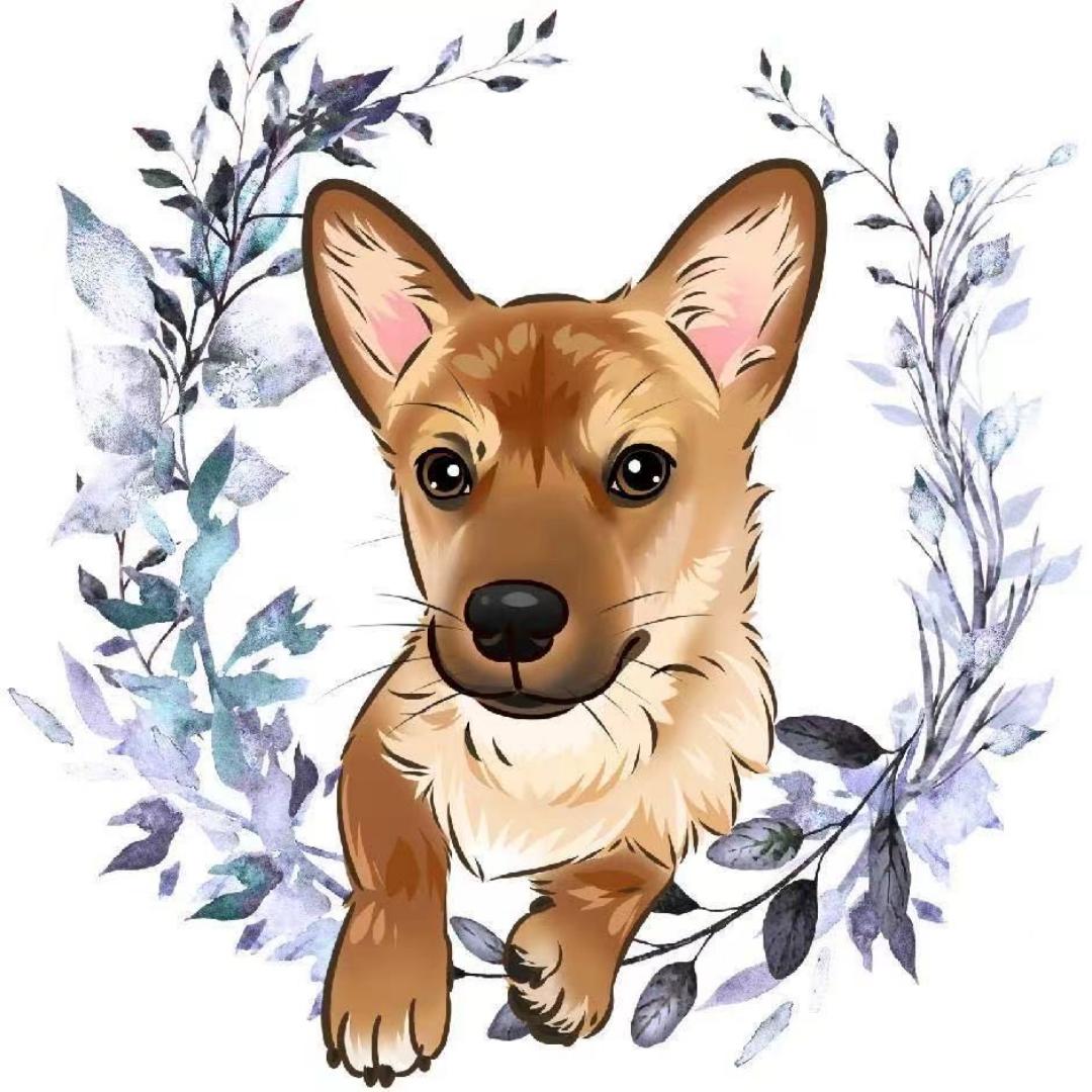 贝贝猫的小厨房