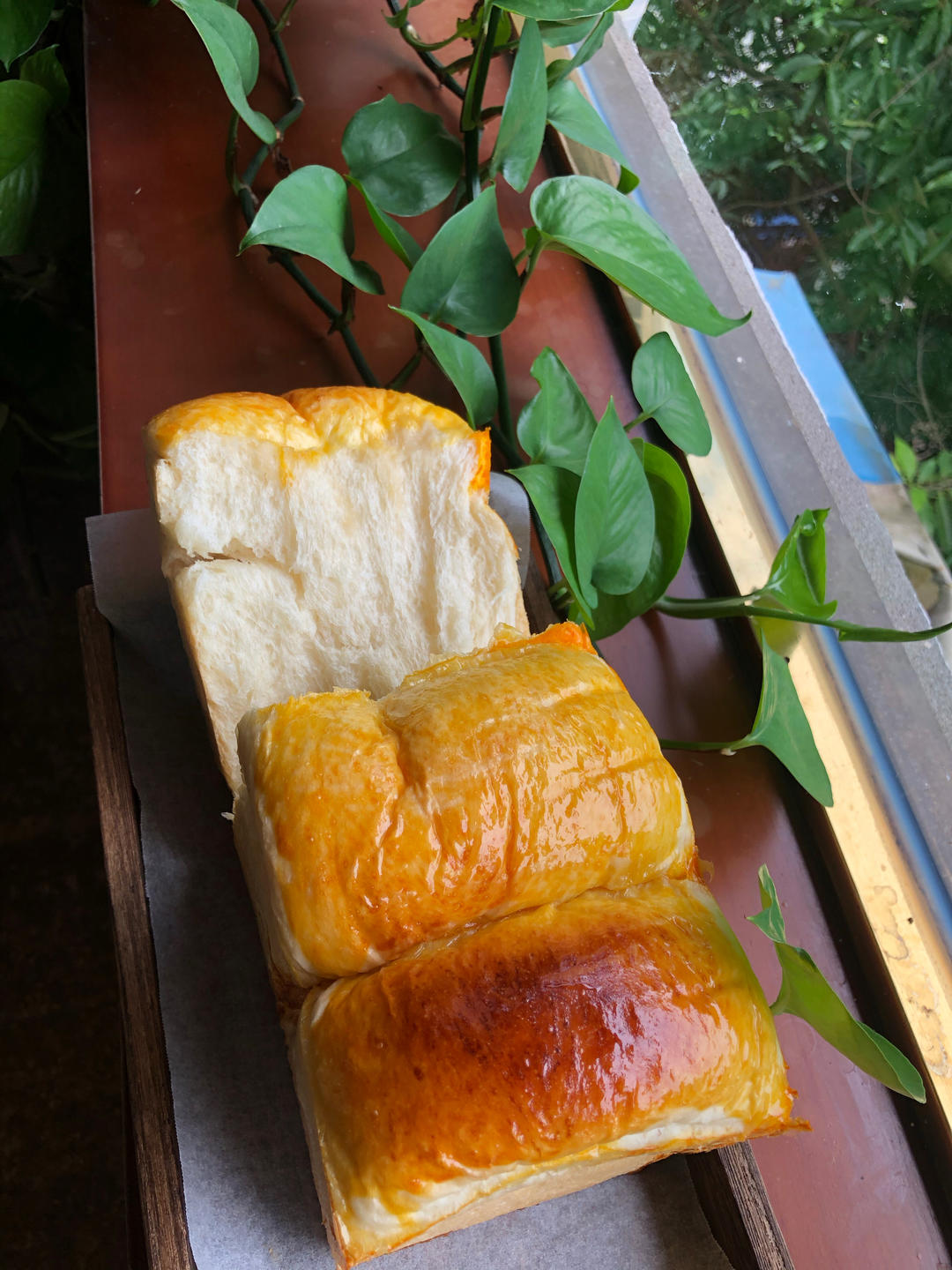 北海道牛奶吐司（100%冷藏中种法）