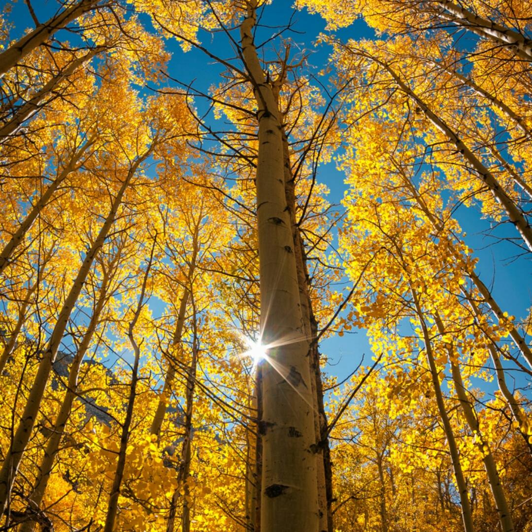 左手牵右手_50kg