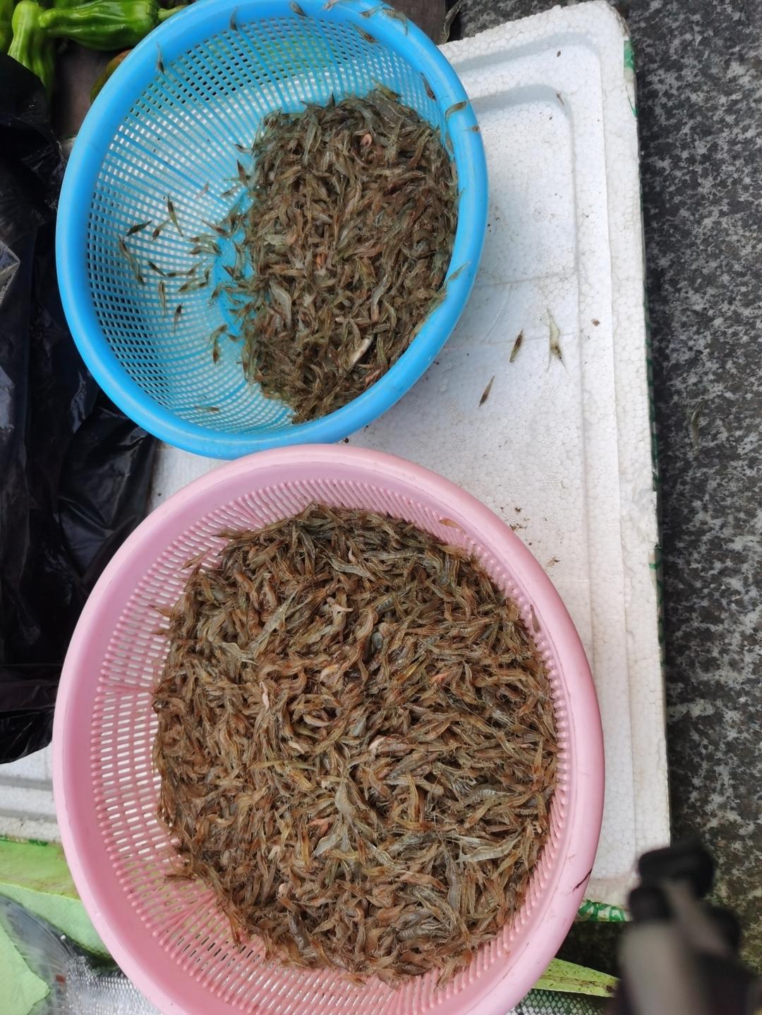 虾渣（虾鲊）、湖北红油虾渣