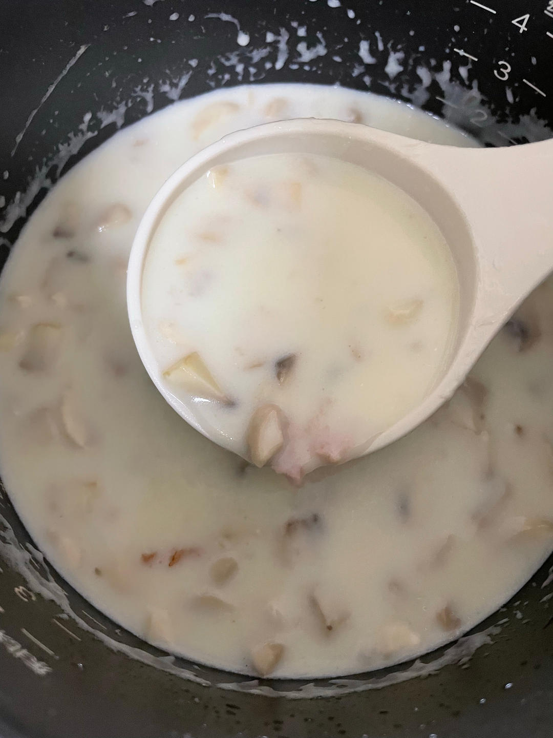 奶油蘑菇汤（完美比例版）