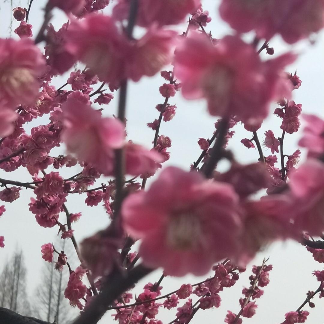 不要名字行不行啊的厨房