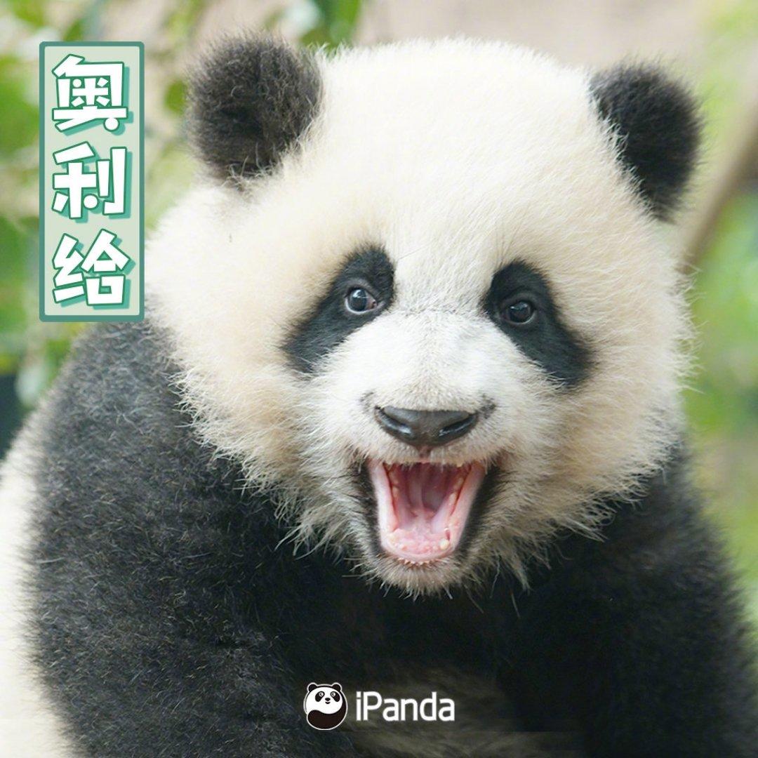 番茄炒鸡蛋（超浓的番茄味）