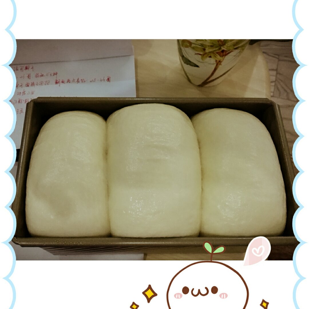 港式吐司～中种