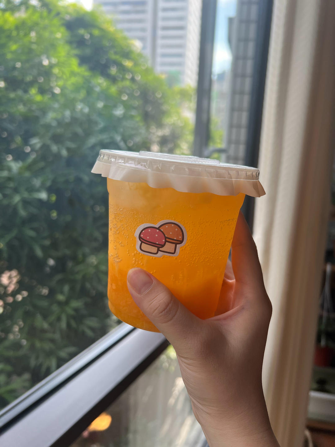 水果➕气泡水！陈皮/柠檬/黄皮果气泡水（各式水果）老盐气泡水