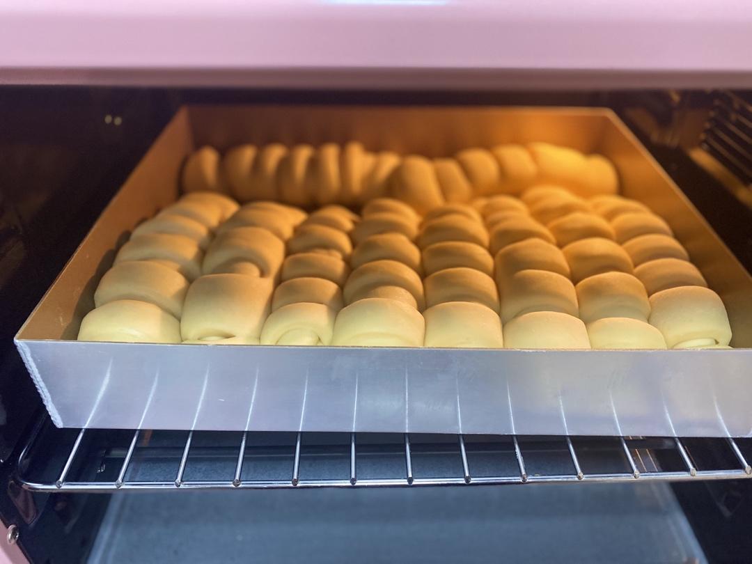 牛奶毛毛虫