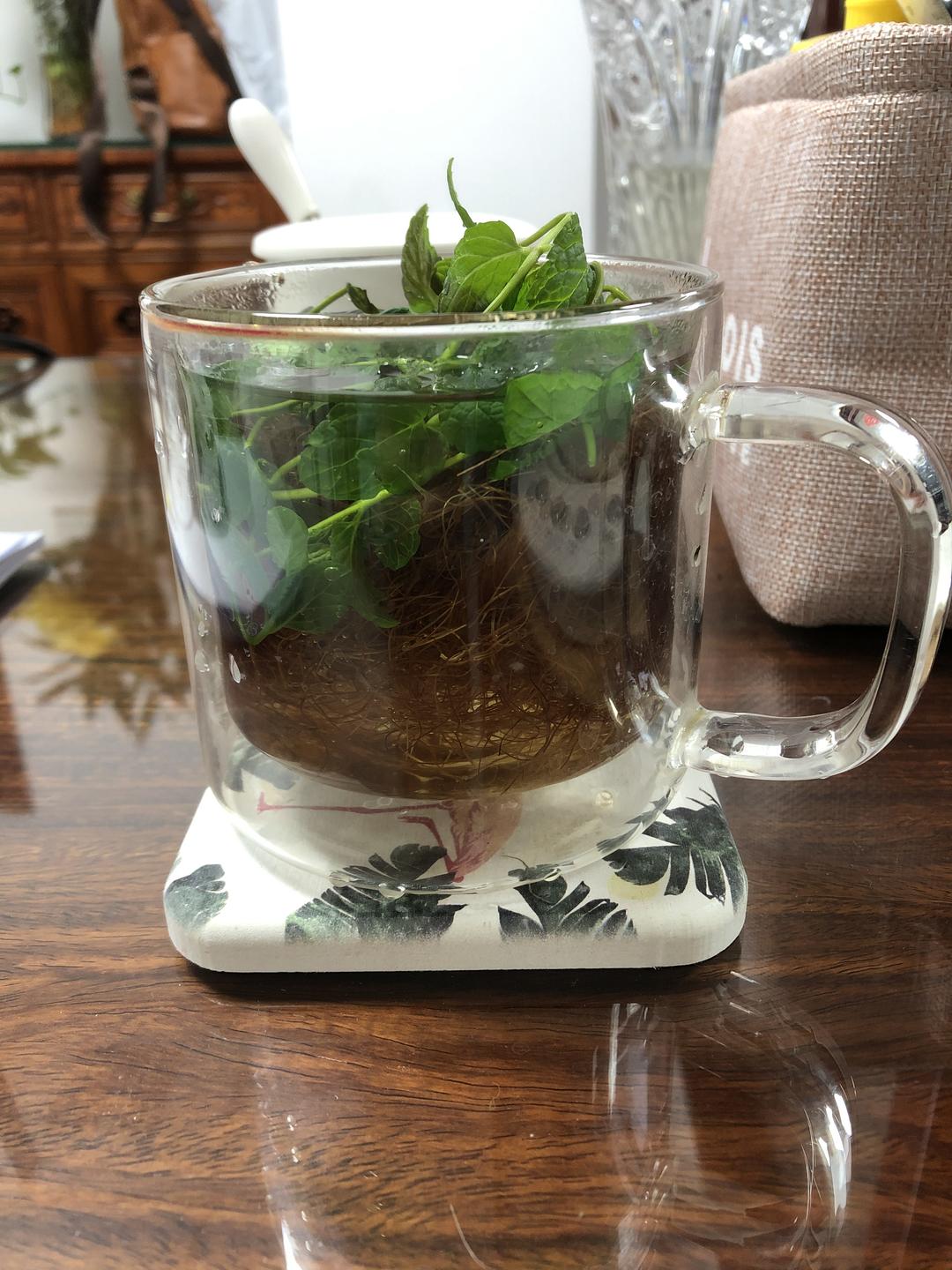 玉米须薄荷茶的做法