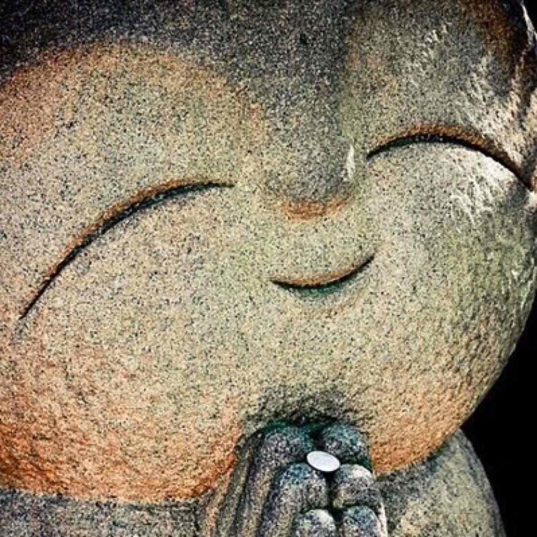 景景ʕ•̫͡•ʔ