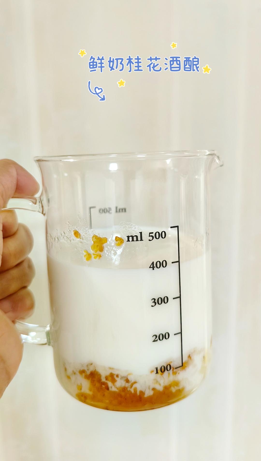 5分钟完成 桂花酒酿奶绿（鲜奶无茶版）