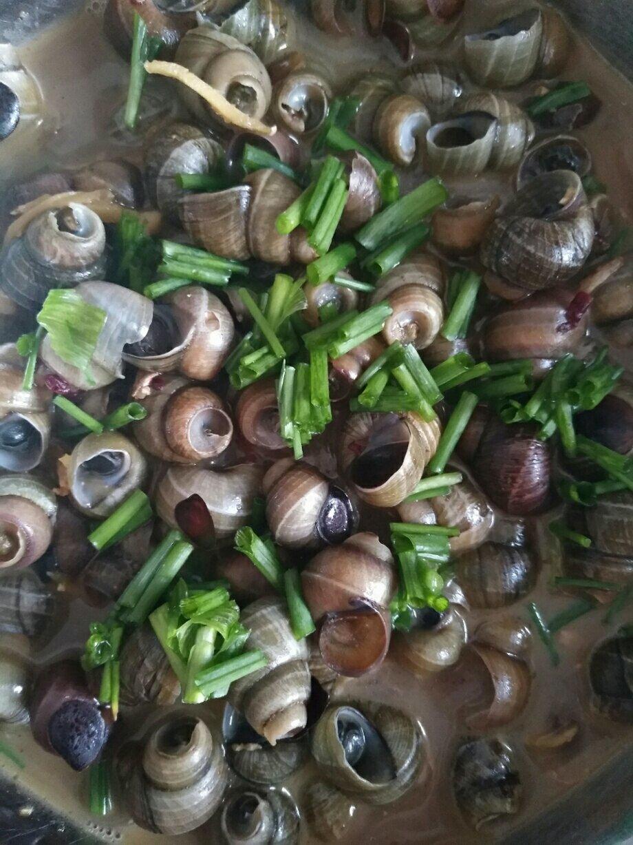 卡卡家·炒螺狮（螺丝）