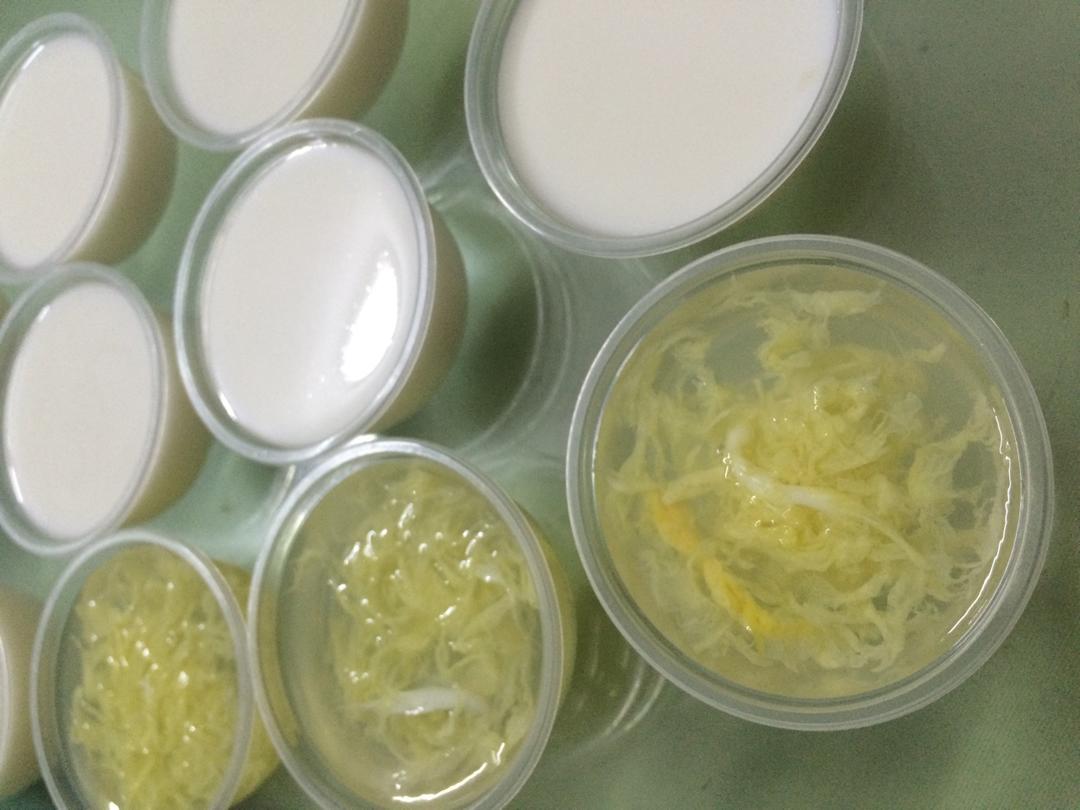 琼脂糕的全部作品