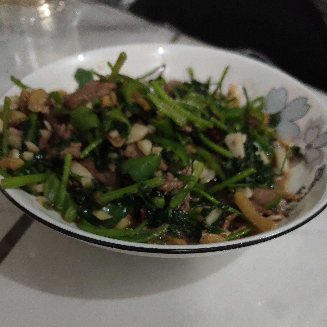 香菜牛肉