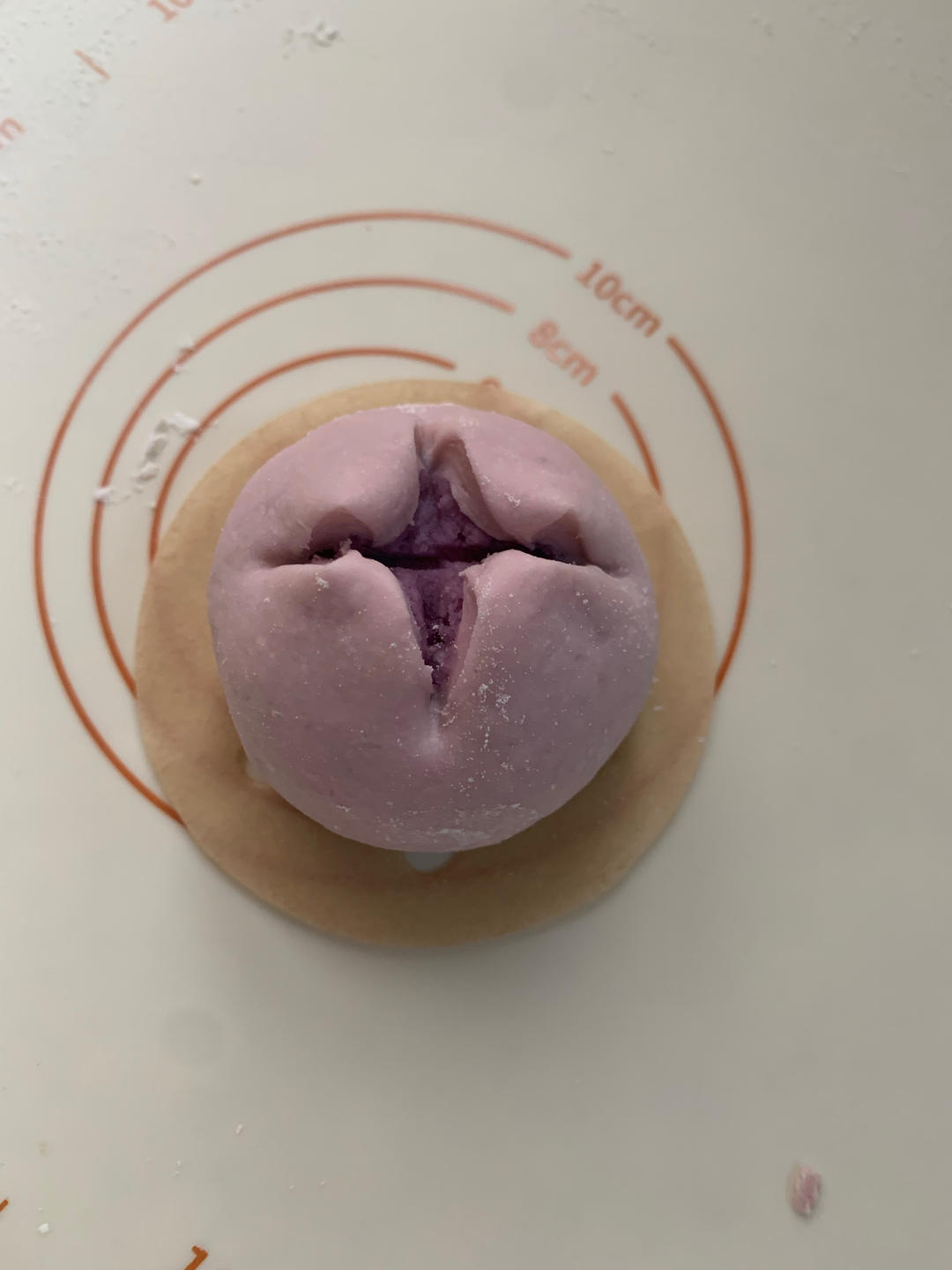 超好看的开花香芋紫薯包（新手做也能100％成功哦 附上详细一次发酵法视频）