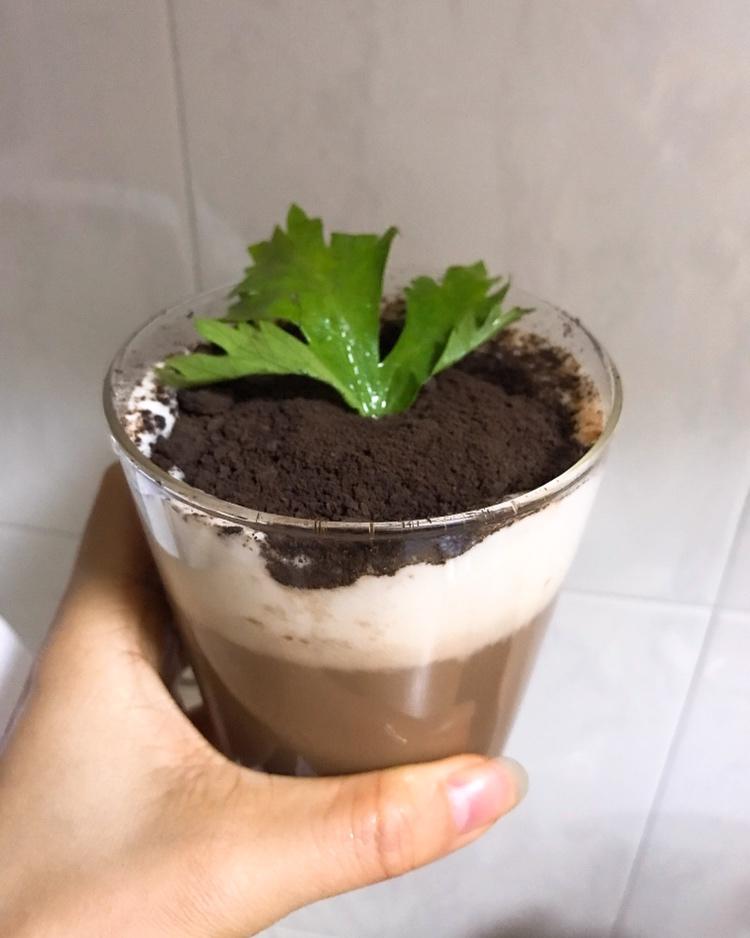 盆栽奶茶
