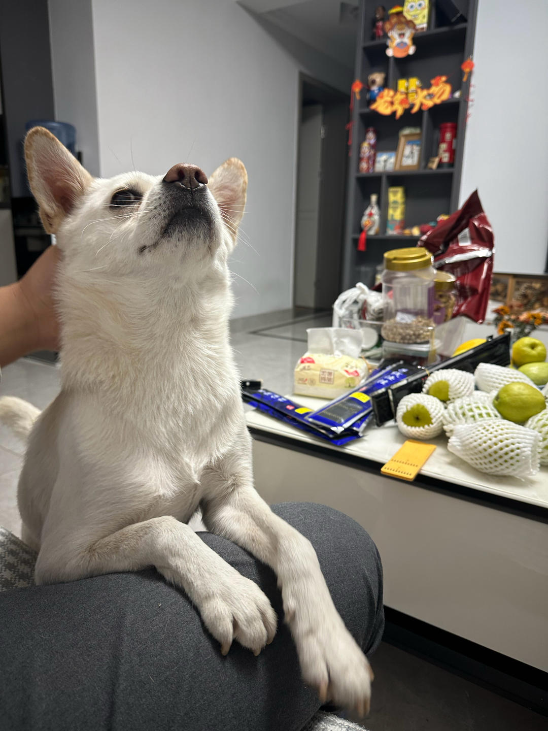 一直在减肥一直没成功