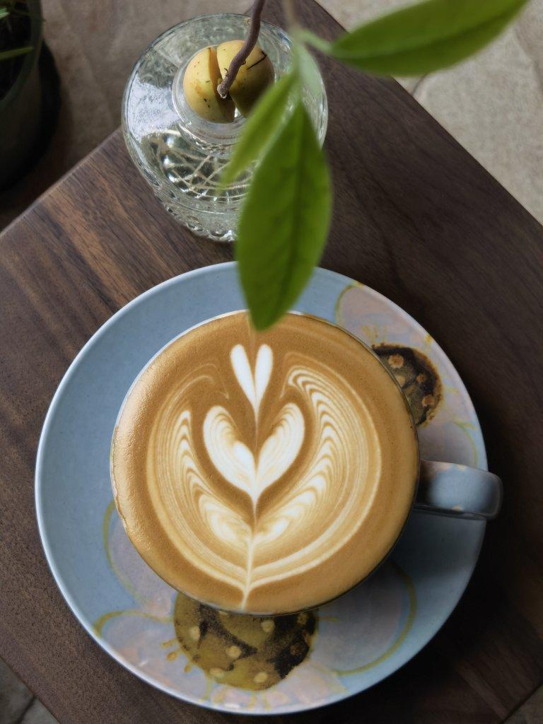 朱元不玉润做的咖啡拉花练习