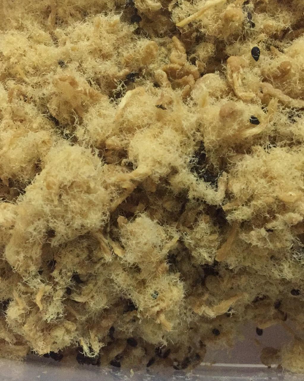 自制肉松宝宝辅食肉松―厨师机版