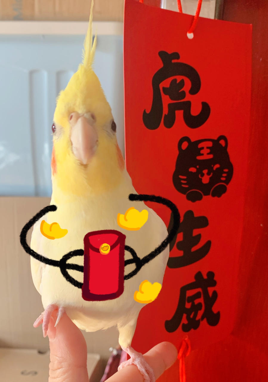 一只小小丸子子