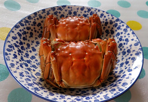 清蒸河蟹