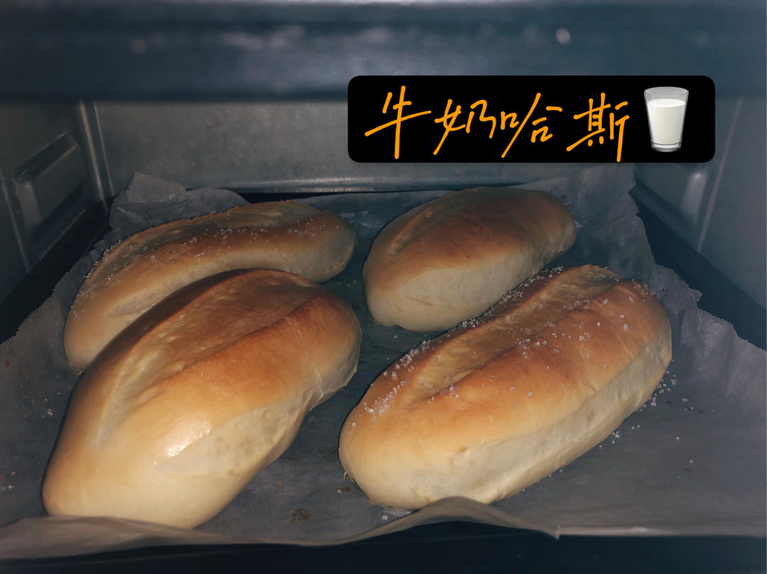 牛奶哈斯