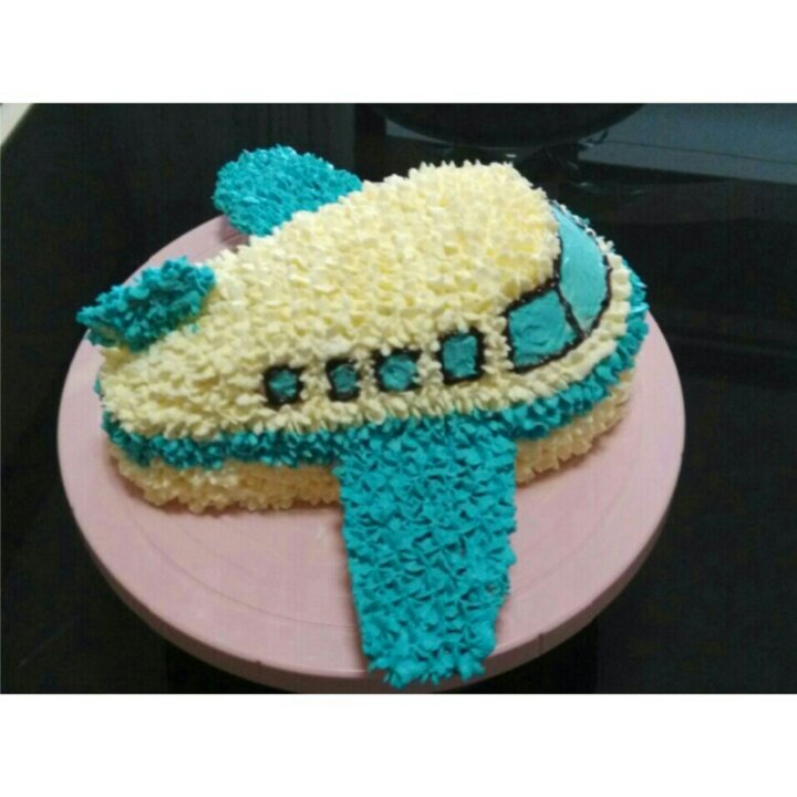 立体小客机蛋糕