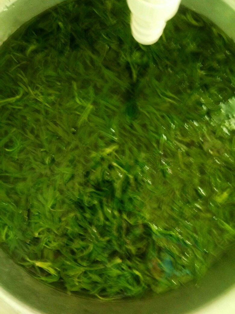 香糯艾草青团（放冷不硬）