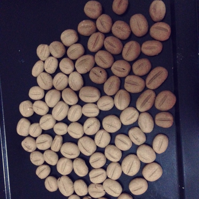 咖啡豆豆饼干