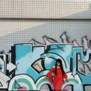 苇苇美食做菜家