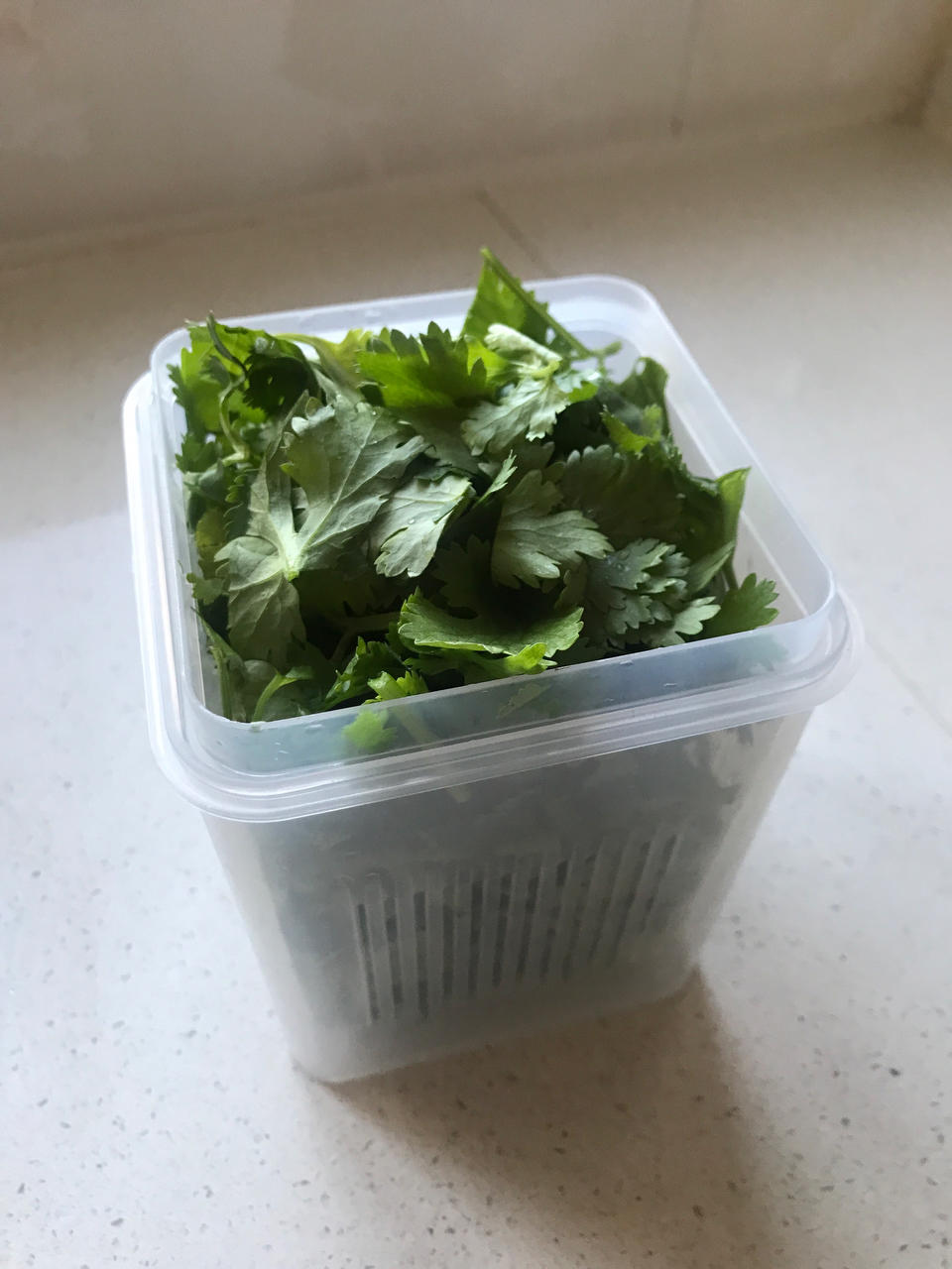 小香葱和香菜冷冻保存