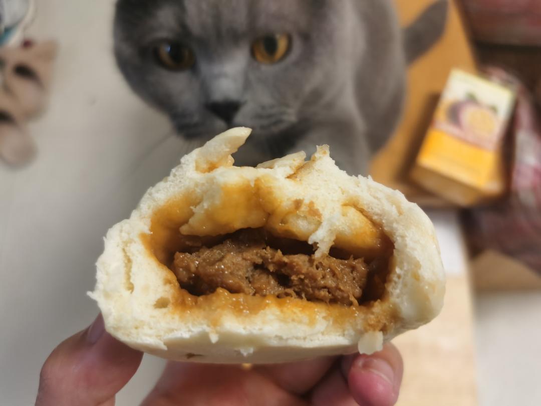 好吃多汁的肉包子肉馒头【步骤超详细】