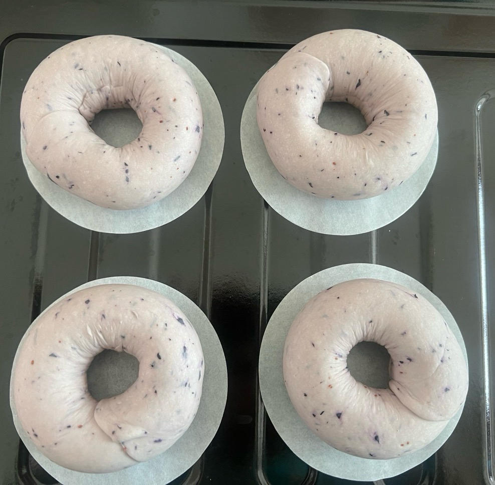 蓝莓贝果 无糖无油（普通和全麦）