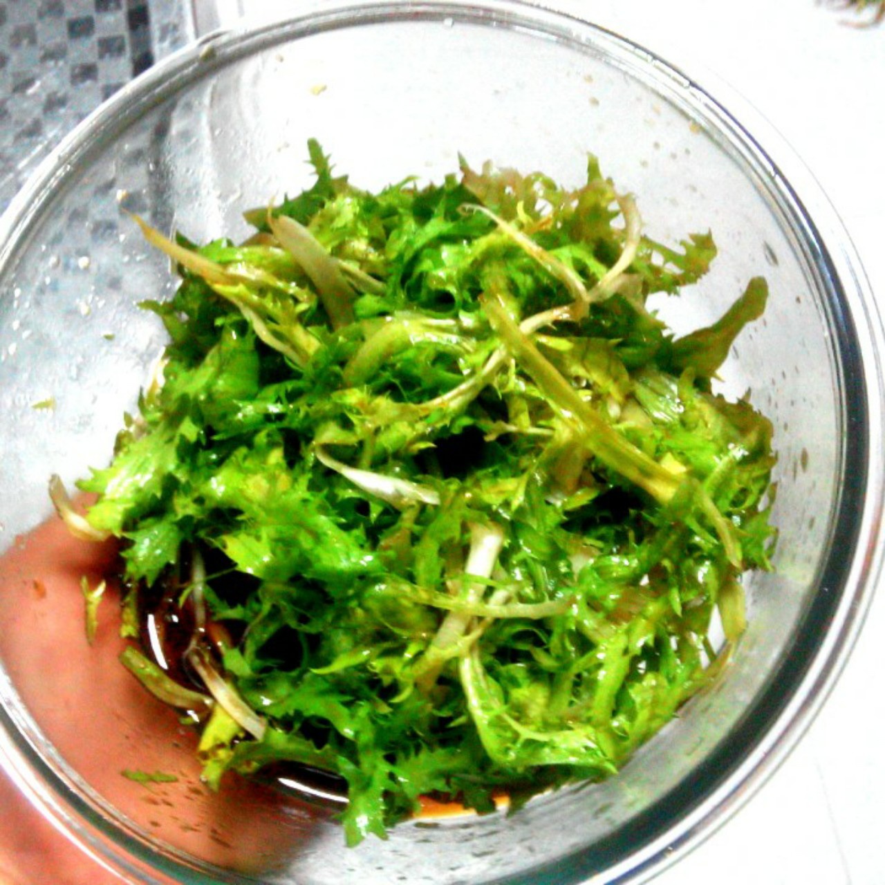 凉拌苦菊