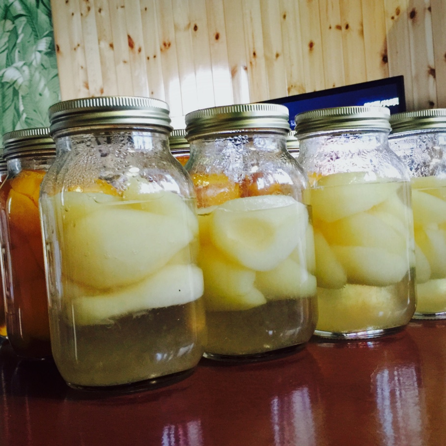 林寒止做的糖水洋梨自制罐头香梨