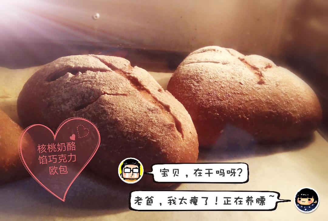 全麦巧克力豆软欧