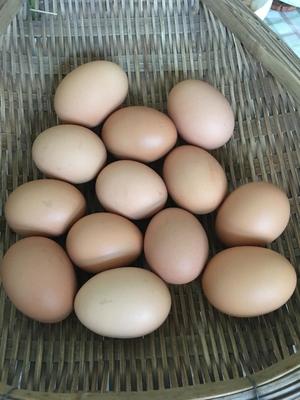 五香盐水咸鸡蛋的做法 步骤2